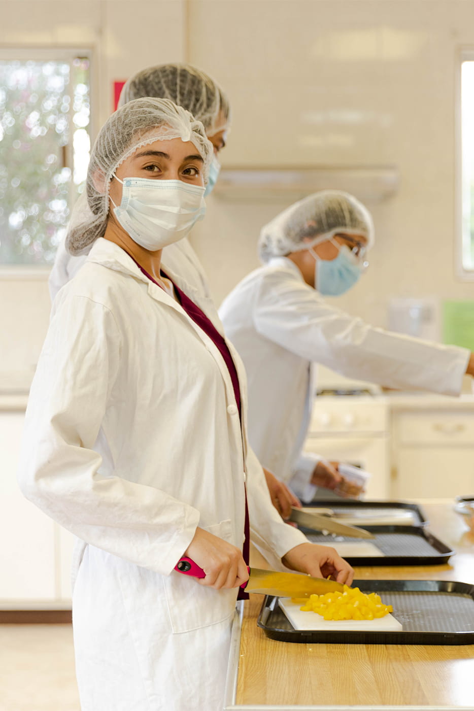 Tercer imagen de NUTRICIÓN Y ESTILO DE VIDA